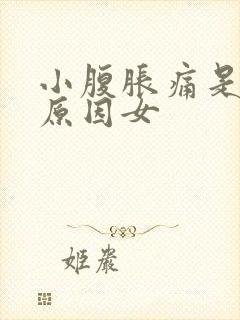 小腹胀痛是什么原因女