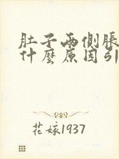 肚子两侧胀痛是什么原因引起的封面