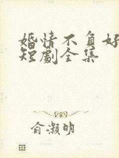 婚情不负好春光短剧全集封面