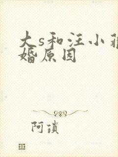 大s和汪小菲离婚原因