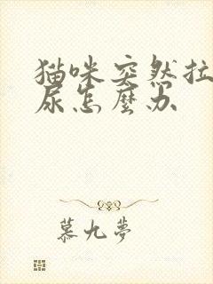 猫咪突然拉不出尿怎么办封面