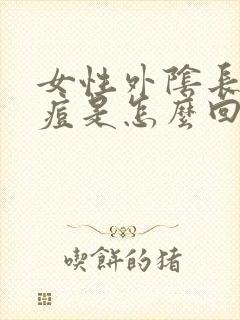 女性外阴长小痘痘是怎么回事封面