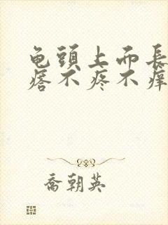 龟头上面长小疙瘩不疼不痒什么原因