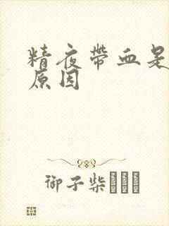 精夜带血是什么原因封面