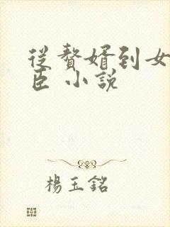 从赘婿到女帝宠臣 小说