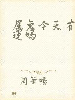 属兔今天有偏财运吗