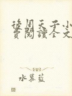 后周天子小说免费阅读全文最新章节