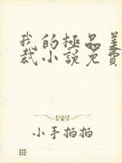 我的极品美女总裁小说免费