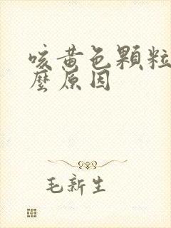 咳黄色颗粒痰什么原因