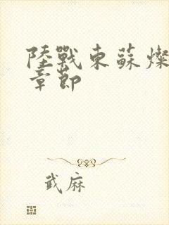 陆战东苏灿后续章节封面