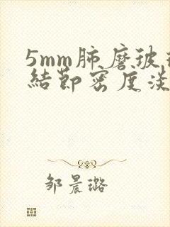 5mm肺磨玻璃结节密度淡