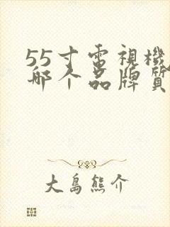 55寸电视机选哪个品牌质量好