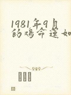 1981年9月的鸡命运如何