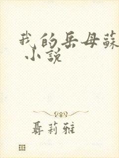 我的岳母苏沛真 小说