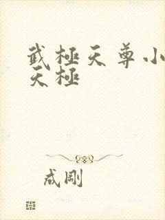 武极天尊小说陈天极