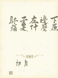 肚子左边下腹疼痛是什么原因