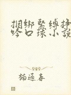 捆绑紧缚挣扎呻吟口球小说