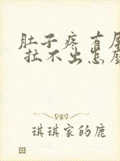 肚子疼 有屎意 拉不出怎么办