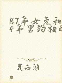 87年女兔和94年男狗相配吗