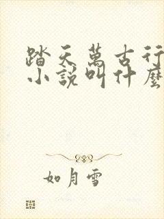 踏天万古行原著小说叫什么名字