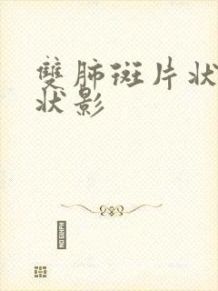 双肺斑片状条索状影