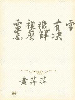 电视机有雪花点怎么解决