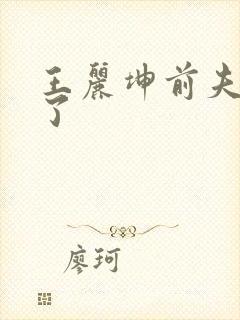 王丽坤前夫怎么了