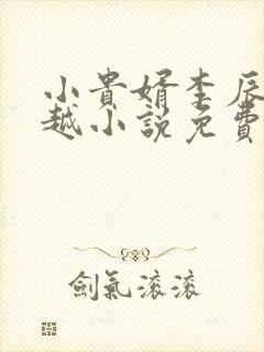 小贵婿李辰安穿越小说免费阅读