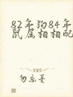 82年狗84年鼠属相相配吗