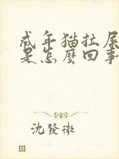 成年猫拉屎带血是怎么回事