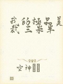 我的极品美女总裁 三米半