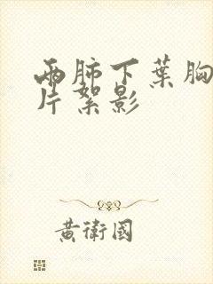 两肺下叶胸膜下片絮影