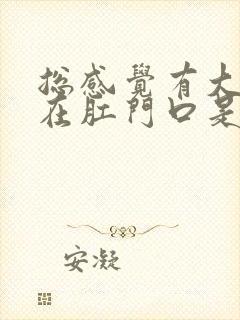 总感觉有大便堵在肛门口是怎么回事封面