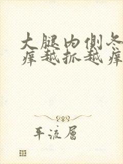 大腿内侧冬天痒痒越抓越痒有小红疙瘩封面