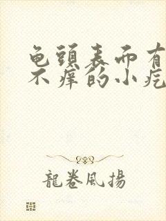 龟头表面有不痛不痒的小疙瘩