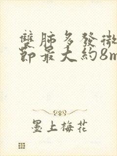 双肺多发微小结节最大约8mm