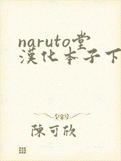 naruto堂汉化本子下载方法