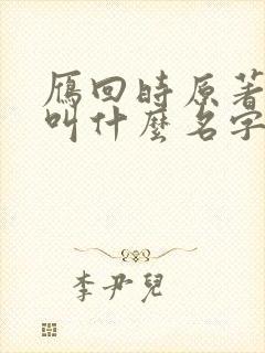 雁回时原著小说叫什么名字