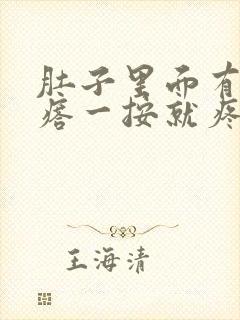 肚子里面有硬疙瘩一按就疼怎么回事