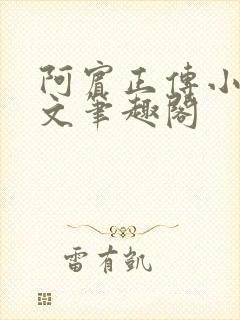 阿宾正传小说全文笔趣阁