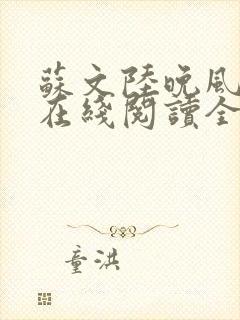 苏文陆晚风小说在线阅读全文封面