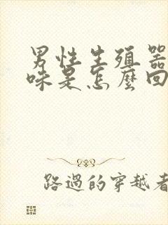 男性生殖器有异味是怎么回事