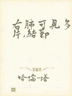 右肺可见多发斑片,结节