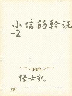 小信的干洗店1-2封面