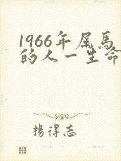 1966年属马的人一生命运如何封面