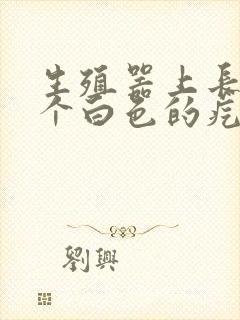 生殖器上长了一个白色的疙瘩封面