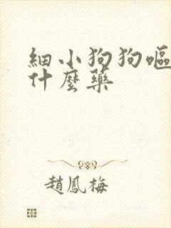 细小狗狗呕吐吃什么药