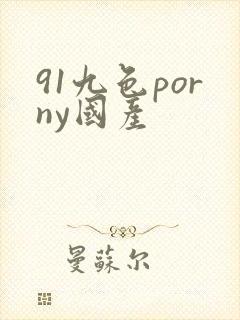 91九色porny国产