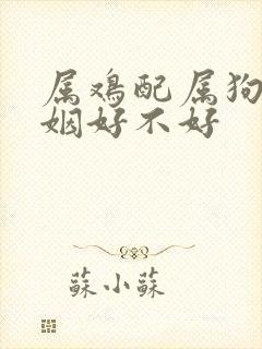属鸡配属狗的婚姻好不好
