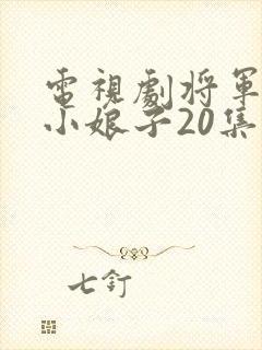 电视剧将军家的小娘子20集至40集